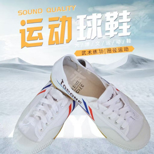 Feiyue Dabowen Track and Field Shoes, Martial Arts Shoes, Canvas Shoes, Martial Arts Shoes, White Shoes, Kidsren's Velcro Soft-Soled Sports Shoes
