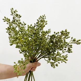 ��� ����3�����ߙn�b����ٹ��Ӱ��g ܛ�b��ˇ �廨��ķ��滨