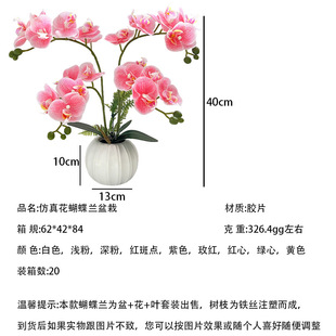 ���滨�����m����24�仨�Ӽ��k���b��҃�����[���zƬ����Gֲ