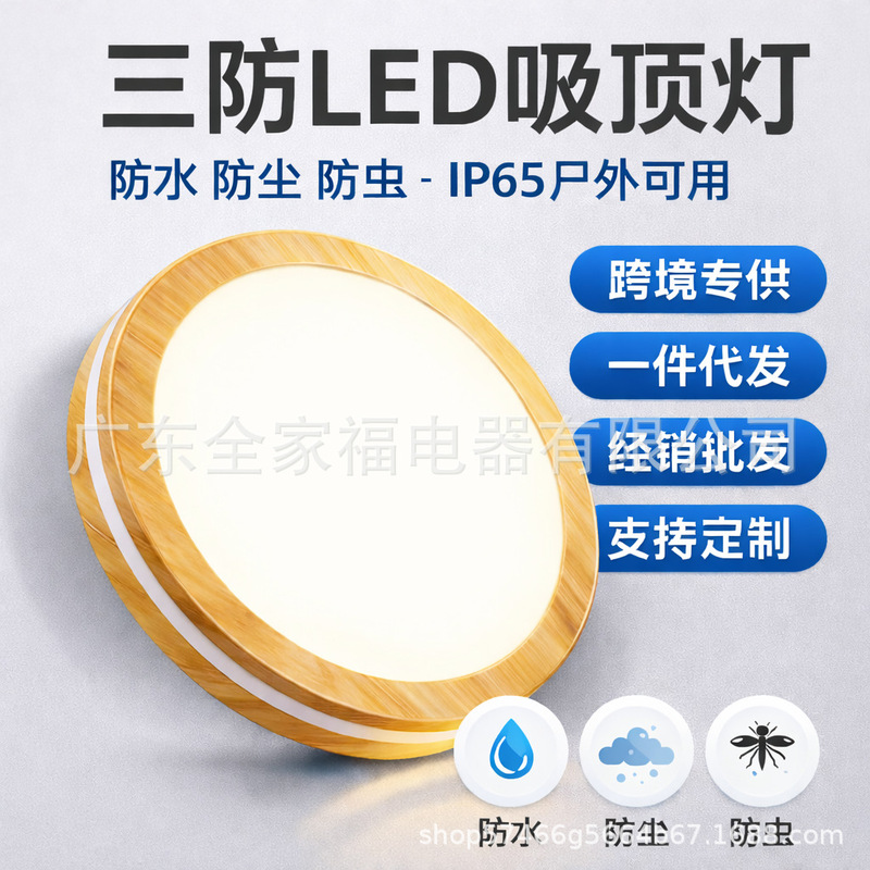 Special price smothering thin ceiling lamp 3000K Amazon cross-border e-commerce explosion ceiling lamp CE CB certification