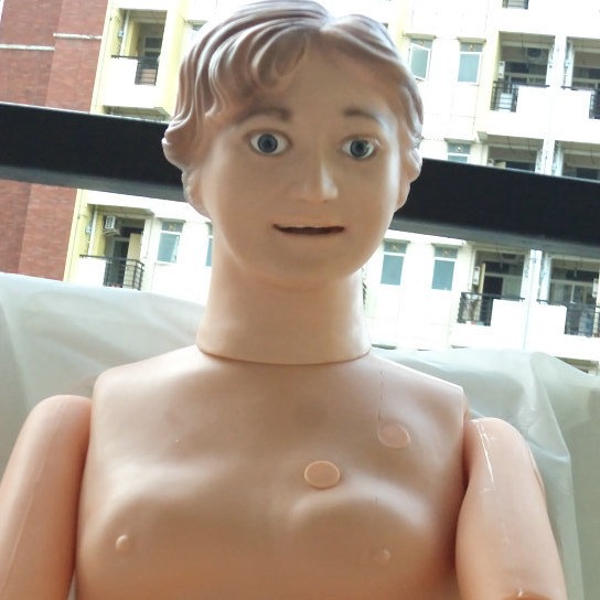 ��Ƥ��� Ů�Ի�������ģ�� ҽѧ����ģ���˻�ʿʵϰģ�� ����