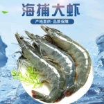 海水大虾鲜活海鲜超大青岛海虾冷冻白虾冻虾商用整箱批发基围虾