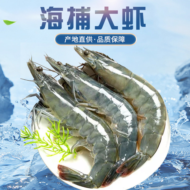 Sea Water Prawns, Fresh Seafood, Extra Large Qingdao Sea Shrimps, Frozen White Shrimps, Frozen Shrimps, Commercial Whole Box Wholesale Base Shrimps