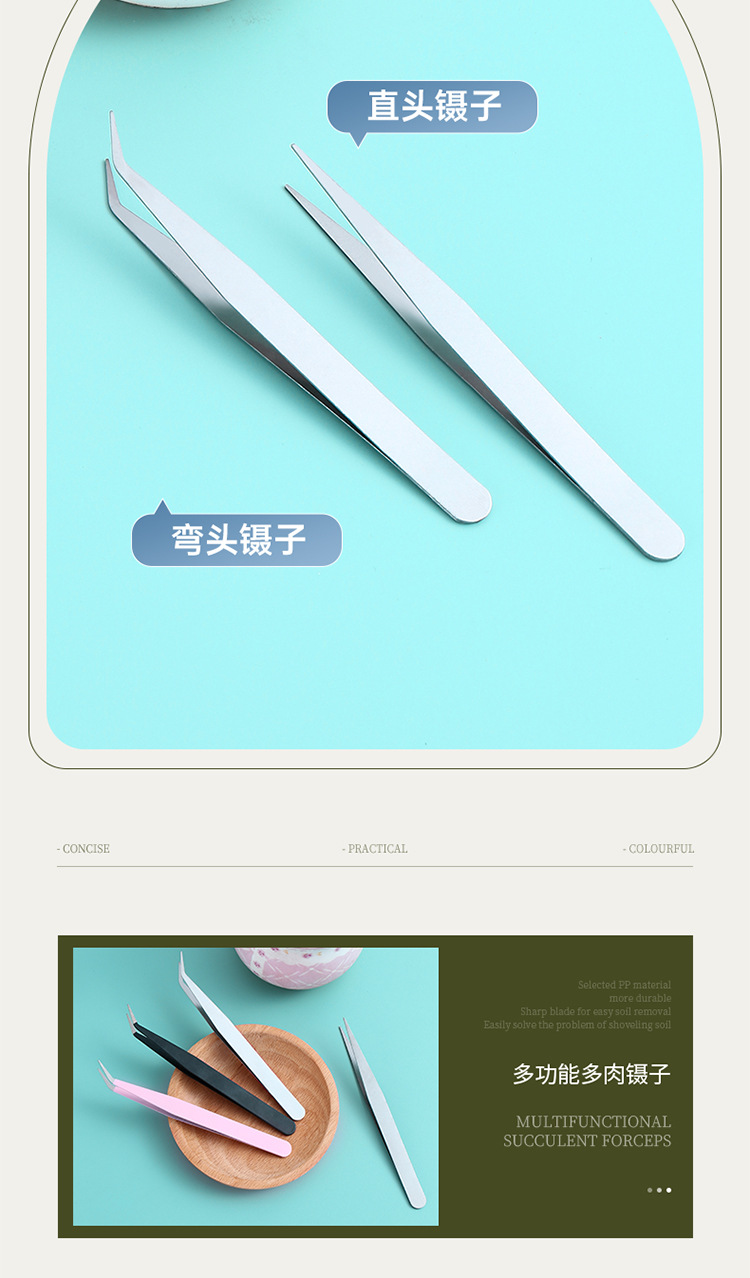 240202多肉镊子_09.jpg