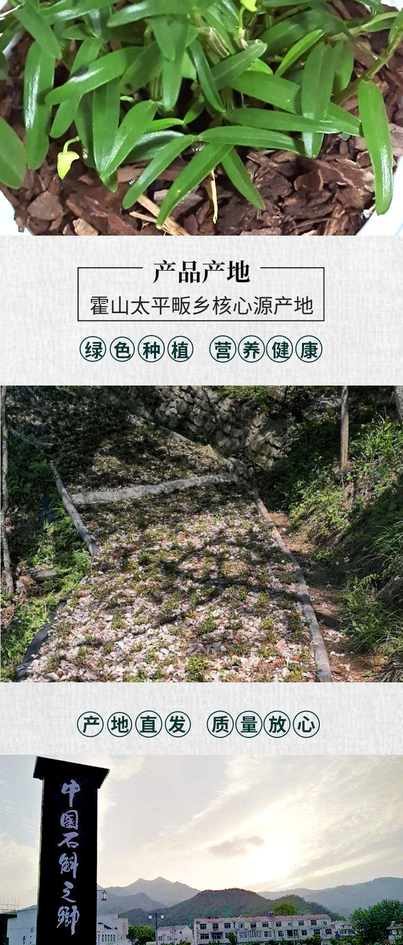 米斛苗新详情页_01_05