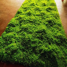 ����̦�\��ƺ ��̦��Ƥ ֲ������晻����c�辰���Ԉ@��ܛ�b�