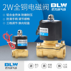 全銅常閉気動電磁弁水弁2w電動弁4分dc 24v水スイッチ制御ガス弁ac220v