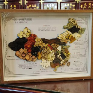 道地地图新款标本展示药材独立中国分布中医院装饰画相框标本-阿里巴巴