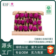 ノウシャン花源メーカー平陰重瓣紅薔薇茶低温乾燥薔薇の花蕾原産地卸売電気商社