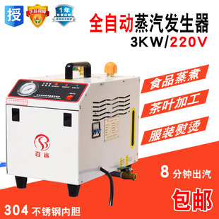 Baiyu Small Steam Generator Fully Automatic Stainless Steel Liner Electric Heating Boiler Curtain Shop Dry Cleaning Shop Ironing