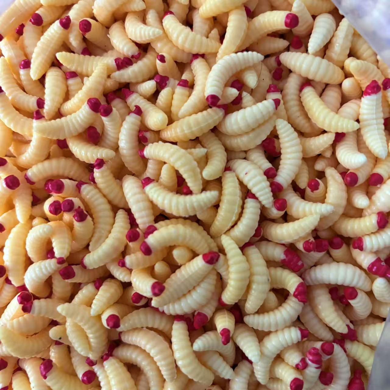 微信图片_202502211723211