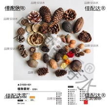 ľƬ��������̫��ֲ��˱��ɹ�diy�ɻ����ϰ�����ֹ���������