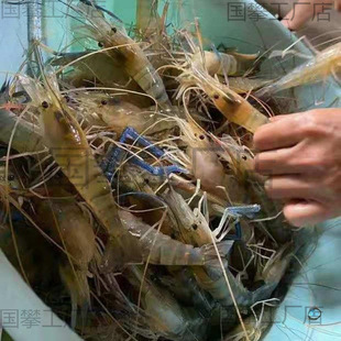 ���^�r�r���_�������l�ͻ��r����B���f��ˮ�r�����ό����fβ���\