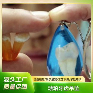 2023 Internet Celebrity Hot Amber Tooth Pendant Amber Tooth Bracelet Amber Tooth Key Customization