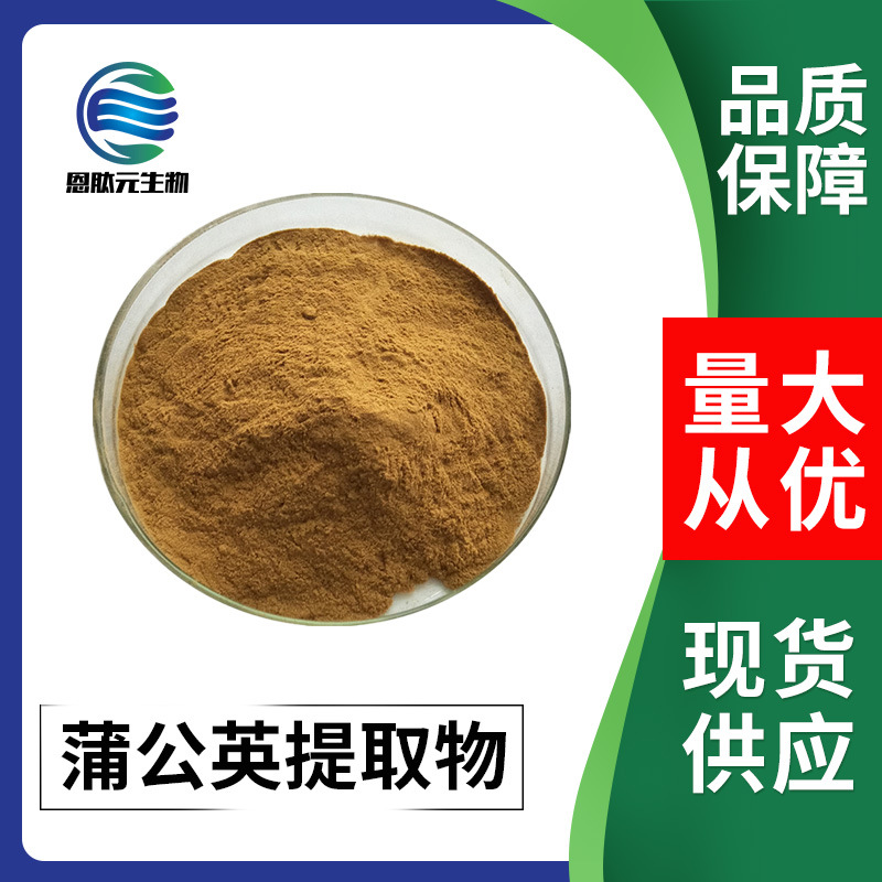 蒲公英提取物 10:1 现货供应 量大从优 蒲公英根提取物 1kg