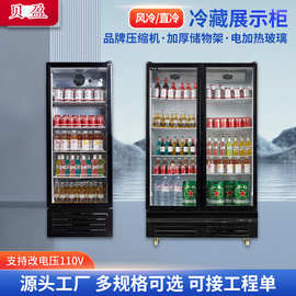 跨境多功能保鲜冷藏展示酒水柜 商用酒水饮料蔬果冷冻展示柜系列