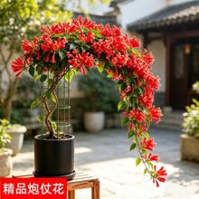 ����һ�l�ġ����̻����������ļ����G��������ͥԺ�̨���B���