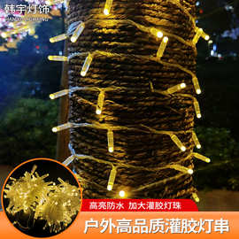 led灌胶灯串户外彩灯节日露营氛围亮化工程装饰灯IP67防水绕树灯