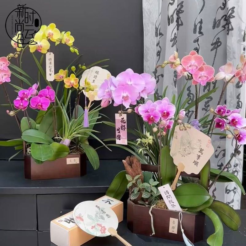 中秋新品鲜花束插花盒手提木盒花艺礼物包装花店材料竹编圆形提篮|undefined