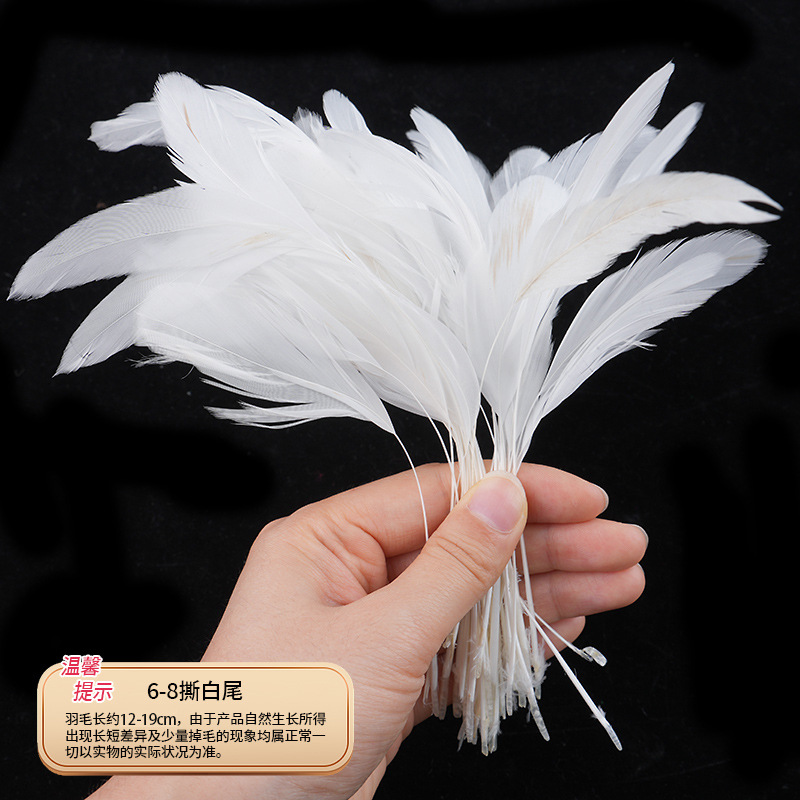 6-8 흰꼬리 50개 찢어짐