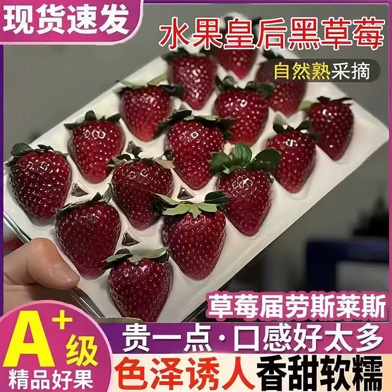 [Sf Express] Real Red Beauty Bell Strawberries | Black Beauty Black Pearl Black Strawberries Fresh Holiday Birthday Gift