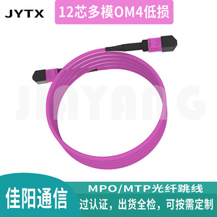 MPO-MPO��ģ12оOM4���f���҃��A�˽����ɹ��|100G���w������Ʒ�|