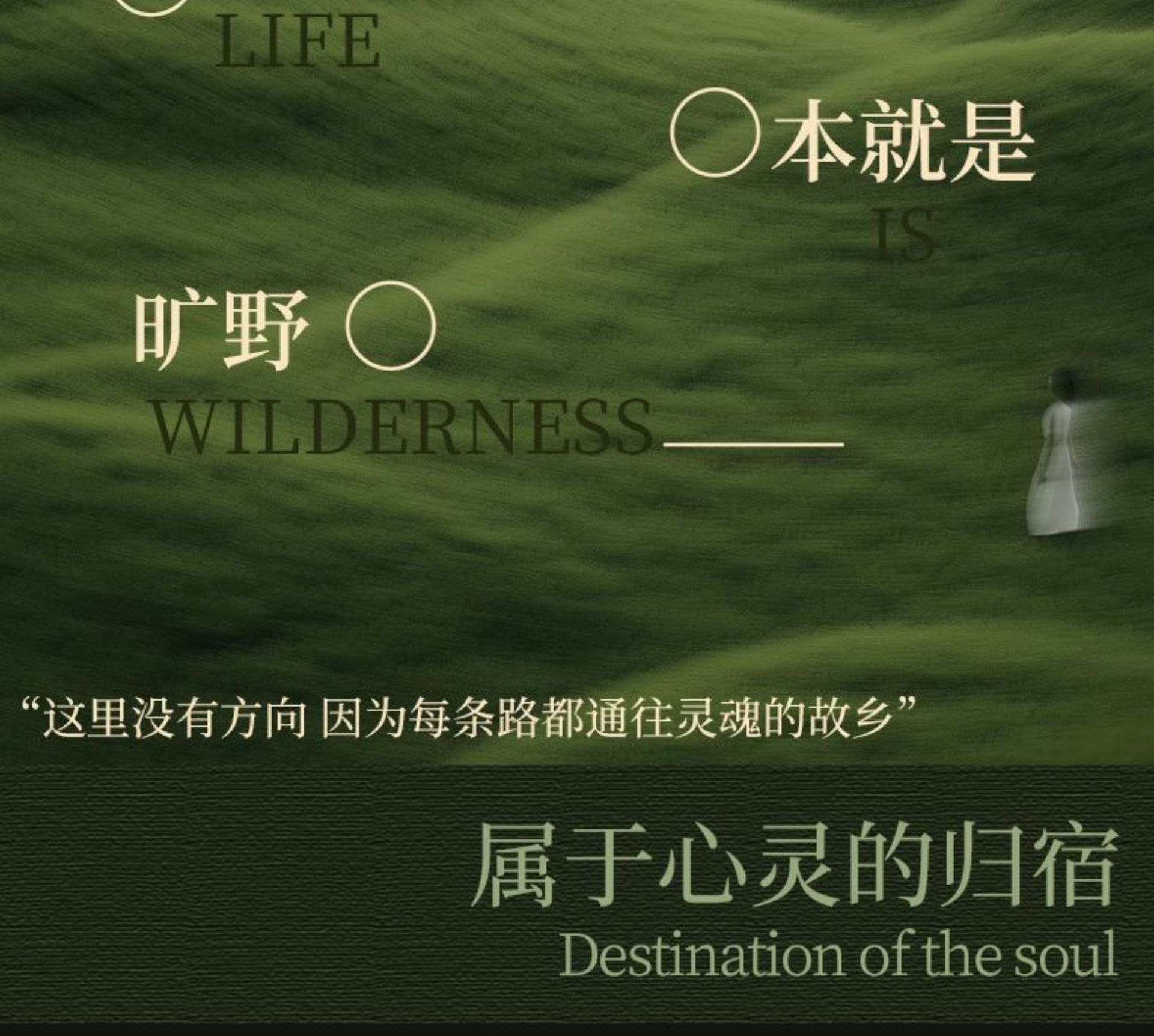 牙刷软毛成人清洁力强高档家用情侣超细高品质橄榄山形洁牙缝牙刷