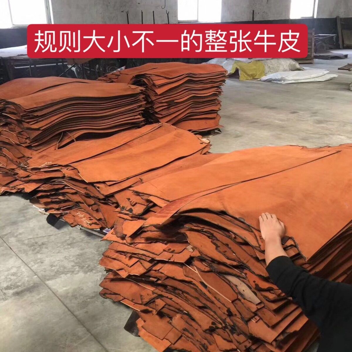 QQ图片20210921002652