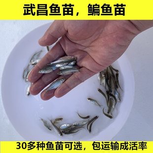 ��ˮ����~���c�~���������~��F�^��������߅�~��ʳ���~���w�Bֳ