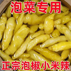 老壇のピーマンの小米の唐辛子の正統の特産の山椒は料理の新鮮な袋を詰めてキムチの鳳爪の調味料を詰めます。