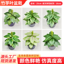 跨境仿真植物油画竹芋叶盆栽欧式家居装饰工程盆景婚庆插花配材