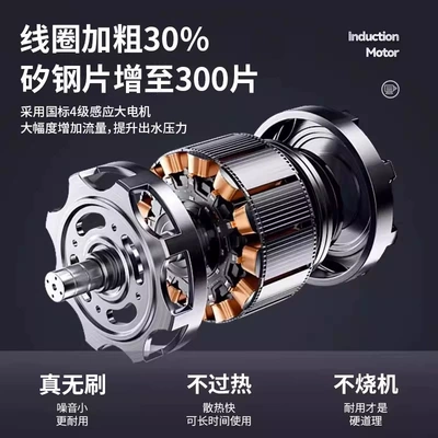 Customized cross-border Black Cat: Car washing machine