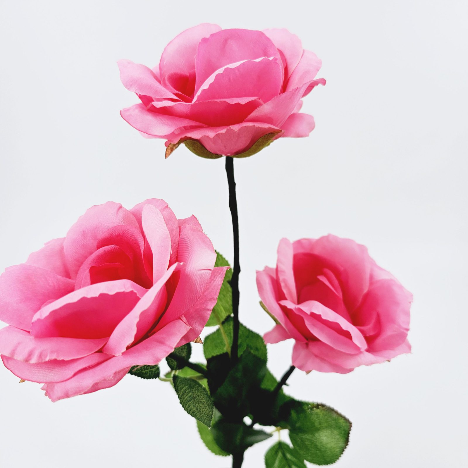 G1381-2.jpg