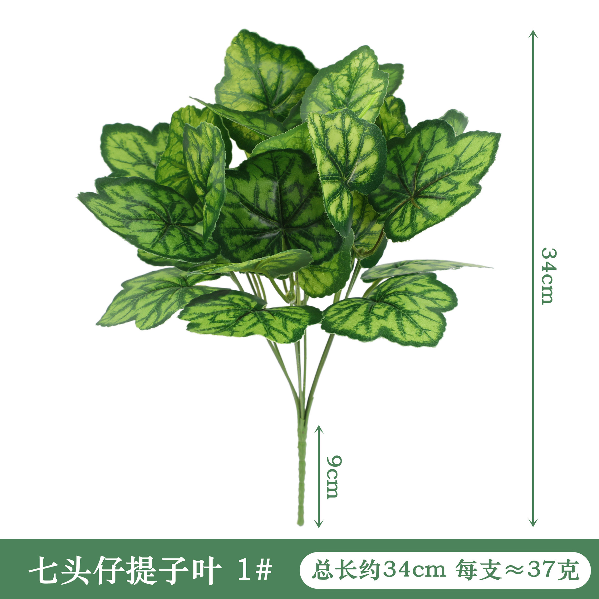 YAL9-170-7 # 일곱 머리 씨앗 잎 1 # 색상