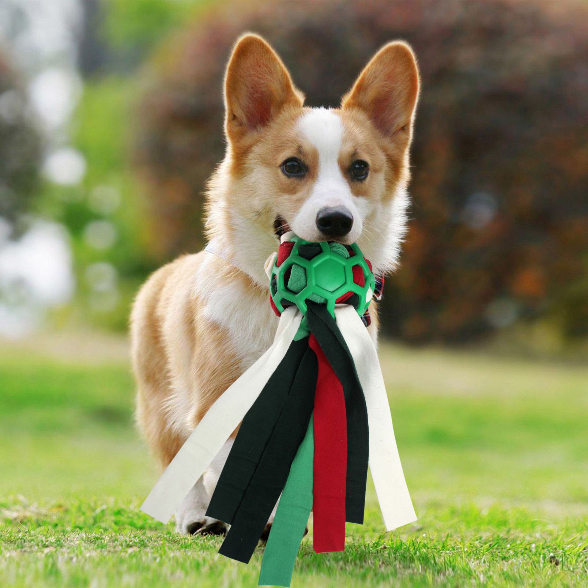 Haustierspielzeug, Schnüffelbälle für Haustiere, Blindbox für das interaktive Training mit Futterleckage für Hunde_voghion.com