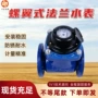 大口径机械式水平螺翼式水表