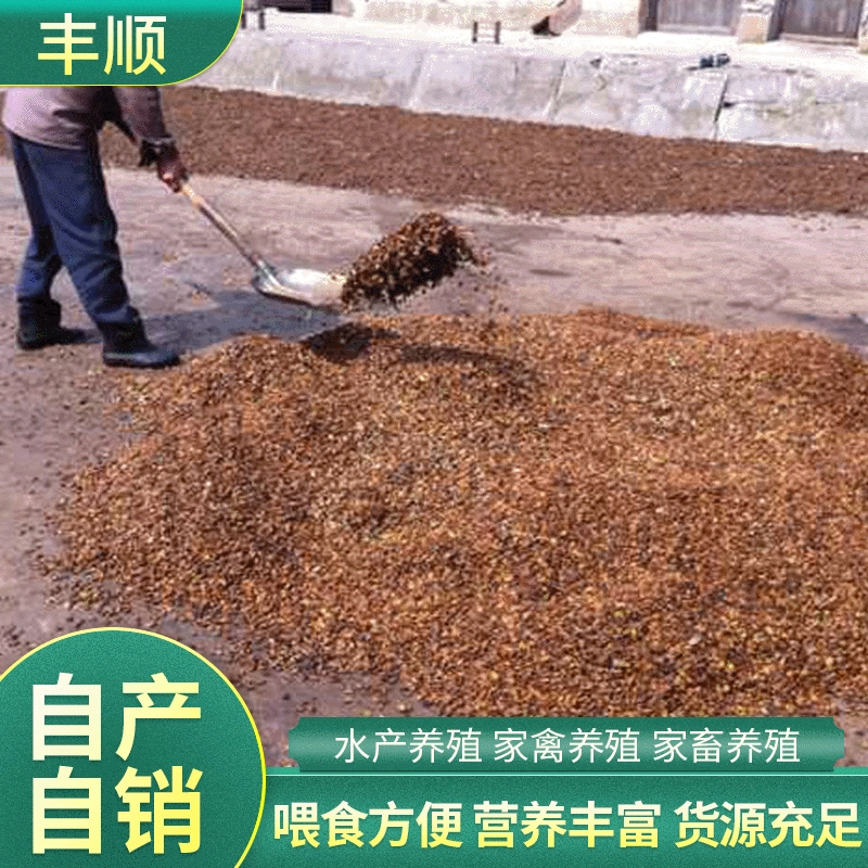 Huangbang Водное кормовое сырье куколки шелкопряда Прибрежные водные куколки шелкопряда кормовая приманка для птиц корм для животных корм куколка шелкопряда порошок