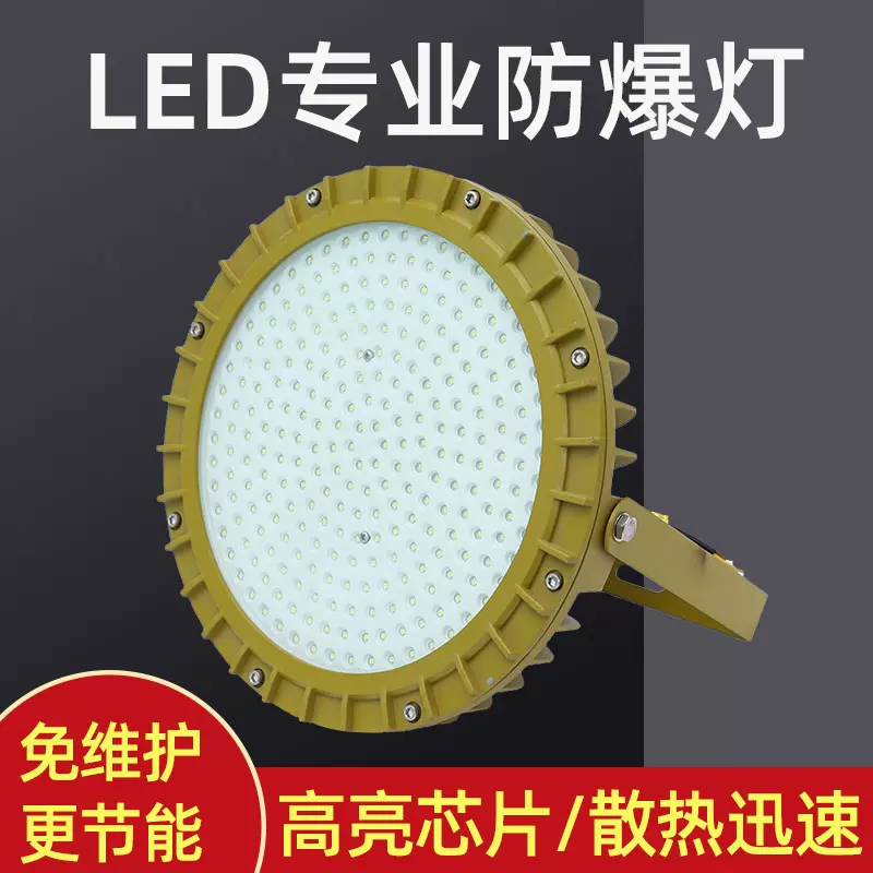 厂家批发圆形吊装悬挂免维护防爆灯 厂房车间油库照明防爆隔爆灯
