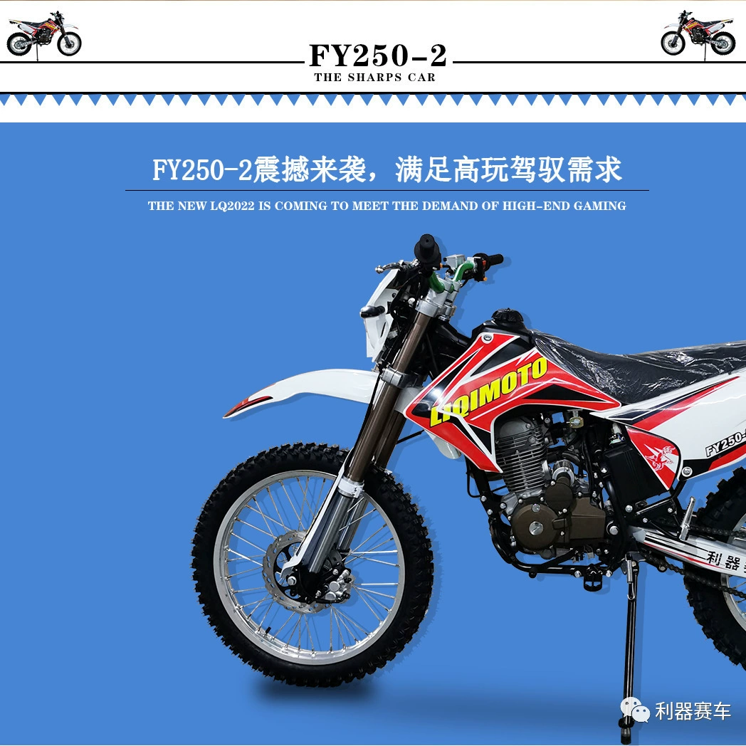 Стальной гоночный FY250-2 внедорожный мотоцикл CB250 двигатель inverted амортизация ремень большой фонарь горная лесная дорога