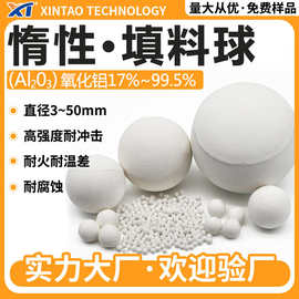 92/99高氧化铝瓷球 耐温差耐腐蚀3-50mm全铝惰性瓷球 高铝瓷球