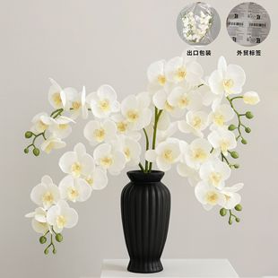 �����m���滨�����ɫ�m���Ҿ��b�c�û��羳���Q��ˇ�������l