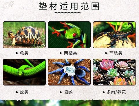 f6e5e24b-2382-45a9-8a6a-cce9a4c65930.jpe