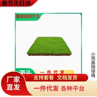 ��β�ͲݷN��Ұ�ݷN�s�ݷN�ѹ�β�ݷN���ͺ��G���^�p�����o������