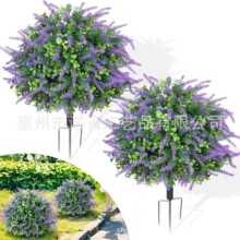 �羳��������޹�²�ֲ��ز��Gֲ�٘��쾰�^�羳ͥԺ�̈����