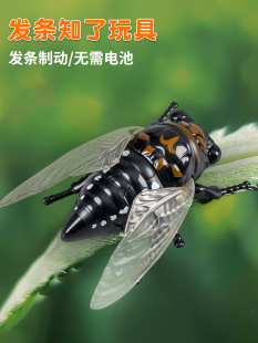 ��ͯ�l�l�������x��߄�����sģ���к���朗l����֪�����s