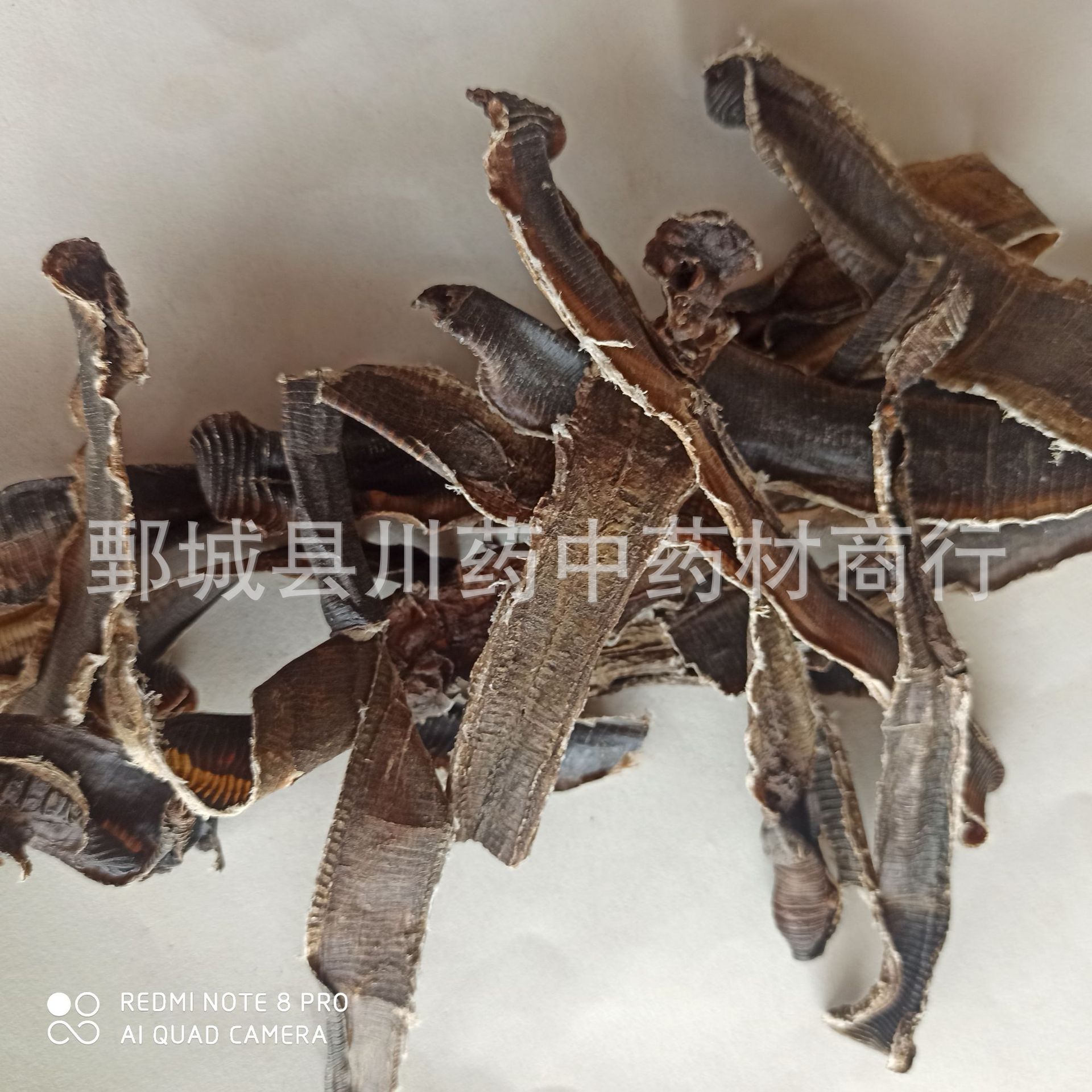 地龙500g广地龙 蚯蚓干 中药材批发供应【川药中药材】各种规格-阿里巴巴