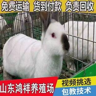 ֱ�l���|���w�����������Ãr�������L�ڹ������|���c�����ð��\ݔ