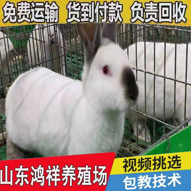 1e400c4cb54944aaa18c00c4e41314