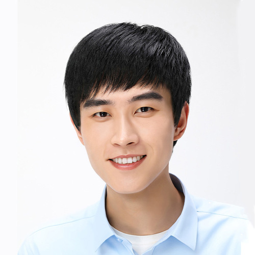 Handsome men's wig, real hair, full head cover, Xuchang manufacturer wholesale, hand-woven wig set for middle-aged and elderly men with short hair