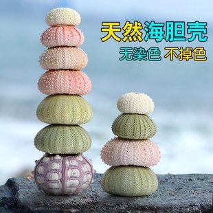 ��đ�� ��Ȼؐ�����ݻ��脓��diy��̨�b՚��P����������[��
